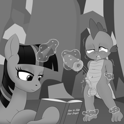 Size: 2000x2000 | Tagged: explicit, artist:anonymousandrei, spike, twilight sparkle, age difference, alicorn, balls, bdsm, bondage, book, derpibooru exclusive, dominant, dragon, duo, duo male and female, edging, female, femdom, foalcon, g4, genitals, gritted teeth, horn, imported from derpibooru, indoors, magic, magic bondage, magical bondage, male, malesub, mare, no nut november, nudity, orgasm denial, penetrable sex toy, penis, pony, precum, precum string, pseudoincest, reading, sex toy, ship:twispike, shipping, straight, submissive, teeth, telekinesis, twidom, twilight is a foal fiddler, twilight's castle, wingless spike