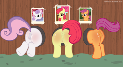 Size: 1557x851 | Tagged: explicit, artist:vwhiskers, apple bloom, scootaloo, sweetie belle, anus, bloom butt, butt, cutie mark crusaders, earth pony, exhibitionism, female, filly, foal, foalcon, full body glory hole, g4, genitals, glory hole, group, horn, imminent sex, imported from derpibooru, nudity, pegasus, photo, plot, pony, public use, scootabutt, show accurate, show accurate porn, sweetie butt, through wall, trio, trio female, unicorn, vulva, younger