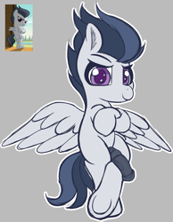 Size: 2443x3147 | Tagged: explicit, artist:frosthawkpone, colt, foal, foalcon, g4, genitals, gray background, horsecock, imported from derpibooru, male, marks and recreation, my little pony: friendship is magic, nudity, pegasus, penis, pony, rumble, screencap reference, simple background, solo