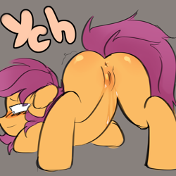 Size: 3000x3000 | Tagged: explicit, artist:19itsme87, scootaloo, anus, ass up, blushing, butt, butt blush, commission, face down ass up, female, filly, foal, foalcon, g4, genitals, imported from derpibooru, nudity, pegasus, plot, pony, presenting, rear view, scootabutt, simple background, solo, solo female, tail, tail aside, vulva, your character here