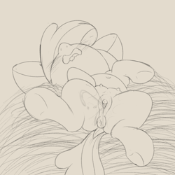 Size: 2160x2160 | Tagged: explicit, artist:dtcx97, apple bloom, anatomically correct, anus, belly, belly button, blushing, bow, clitoris, crotchboobs, dock, earth pony, estrus, female, filly, foal, foalcon, full body, g4, genitals, hair bow, hay, imported from derpibooru, lying down, monochrome, nipples, nudity, on back, open mouth, ponut, pony, sketch, solo, solo female, squirting, tail, teats, tongue out, vaginal secretions, vulva, vulvar winking, wavy mouth