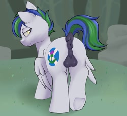 Size: 1311x1195 | Tagged: explicit, artist:dumbwoofer, oc, oc:beargrzzz, anus, backsack, balls, butt, colt, commission, dark genitals, dock, ear fluff, foal, foalcon, g4, genitals, imported from derpibooru, male, nudity, oc only, pegasus, penis, plot, ponut, pony, raised tail, rear view, short mane, solo, solo male, tail, taint, ych result