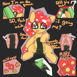 Size: 1500x1500 | Tagged: explicit, oc, oc:anon stallion, oc:bit mango, comic:bits for caps, age difference, anonymous artist, earth pony, egg cell, female, female pov, filly, foal, foalcon, genitals, glowing, glowing horn, horn, horsecock, imported from derpibooru, magic, male, nudity, oc only, offscreen character, offscreen female, penetration, penis, pony, pony oc, pony on pony action, pov, sex, size difference, stallion, stallion on filly, straight, text, this ended in pregnancy, unicorn, vaginal, x-ray