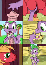 Size: 2480x3508 | Tagged: explicit, artist:jbond, spike, comic:applebuck, age difference, anus, apple, apple tree, baby, baby dragon, barn, barn sex, big macintosh, comic, covering, dock, dragon, duo, duo male, earth pony, foalcon, freckles, g4, gay, genitals, haystack, holding balls, imported from derpibooru, indoors, insertion, licking, licking paw, long tongue, male, nudity, open mouth, part of a set, penis, pony, precum, sex, ship:spikentosh, shipping, stallion, sweet apple acres, tail, tongue out, tree, urethral insertion, wingless spike