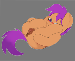 Size: 964x787 | Tagged: explicit, scootaloo, anus, blushing, derpibooru exclusive, dock, foalcon, g4, imported from derpibooru, nudity, pegasus, pony, presenting, tail, vulva