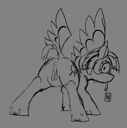 Size: 978x981 | Tagged: explicit, artist:thebathwaterhero, oc, oc:hidden gem, anus, bedroom eyes, caught, clitoris, female, filly, foal, foalcon, horny, imported from derpibooru, lineart, looking at you, looking back, looking back at you, nipples, nudity, pegasus, ponut, pony, presenting, presenting anus, presenting butt, presenting pussy, raised tail, sex toy, solo, solo female, spread wings, tail, tail aside, vibrator, vulva, wingboner, wings