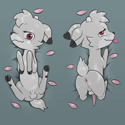 Size: 2048x2048 | Tagged: explicit, artist:multiverseequine, oc, oc:maple (colt quest), 180 penis, albino, anus, balls, bedroom eyes, body pillow, body pillow design, butt, colored, colt quest, condom, condom in mouth, deer, deerlike penis, derpibooru exclusive, erection, fawn, femboy, floppy ears, flower petals, foalcon, gradient background, high res, imported from derpibooru, looking at you, lying down, male, mouth hold, nervous, nervous smile, nudity, oc only, on back, one eye closed, penis, plot, presenting, presenting anus, presenting butt, prone, raised tail, reasonably sized balls, reasonably sized genitals, reasonably sized penis, sheath, smiling, solo, solo male, spread legs, spreading, tail, young