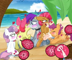 Size: 3000x2500 | Tagged: explicit, artist:juniverse, apple bloom, babs seed, scootaloo, sweetie belle, oc, oc:keokeo nui, age difference, alternate version, an egg being attacked by sperm, beach, blowjob, blushing, both cutie marks, breeding, canon x oc, commission, creampie, creampie-eating, cum, cum eating, cunnilingus, cutie mark crusaders, diphallic, earth pony, egg cell, female, ffffm fivesome, filly, foal, foalcon, g4, harem, haywaiian, horn, hybrid, implied vaginal, imported from derpibooru, impregnation, internal cumshot, kissing, lucky bastard, male, multidick, multiple impregnation, nudity, ocean, one after another, oral, original species, outdoor sex, outdoors, palm tree, pegasus, penis, pony, sex, shark, shark pony, spermatozoon, stallion, stallion on filly, straight, the cmc's cutie marks, this will end in pregnancy, tree, unicorn, vaginal, vaginal creampie, vulva, x-ray