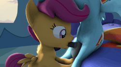 Size: 1920x1080 | Tagged: explicit, artist:sfmacncheese, rainbow dash, scootaloo, 3d, age difference, animated, balls, blowjob, dickgirl, duo, female, femsub, filly, foal, foalcon, futa, futa on female, futa rainbow dash, g4, horsecock, imported from derpibooru, indoors, intersex, nudity, oral, pegasus, penis, pony, scootasub, sex, ship:scootadash, shipping, size difference, sound, source filmmaker, submissive, webm