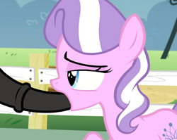 Size: 1357x1080 | Tagged: explicit, diamond tiara, bedroom eyes, blowjob, crusaders of the lost mark, duo, duo male and female, earth pony, edit, edited screencap, female, fence, filly, filly on stallion, foal, foalcon, g4, horsecock, imported from derpibooru, male, my little pony: friendship is magic, nudity, offscreen character, offscreen male, oral, outdoor sex, outdoors, penis, pony, screencap, sex, stallion, straight