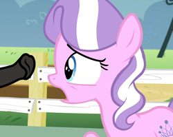 Size: 1357x1080 | Tagged: explicit, diamond tiara, crusaders of the lost mark, duo, duo male and female, earth pony, edit, edited screencap, female, fence, filly, foal, foalcon, g4, horsecock, imminent oral, imminent sex, imported from derpibooru, male, my little pony: friendship is magic, nudity, offscreen character, offscreen male, outdoors, penis, pony, screencap, stallion