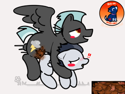 Size: 2160x1620 | Tagged: explicit, grotesque, artist:n1ck1wolf, age difference, alternate version, anal, blank flank, blushing, brothers, circle tool, colt, crappy art, crappy art (literally), derpibooru exclusive, dirty anal, doggy style, duo, duo male, ears back, fetish, flower, flying, flying sex, foal, foalcon, from behind, g4, gay, grass, horsecock, implied outdoors, imported from derpibooru, incest, inside view, looking pleasured, male, movement, nudity, pegasus, penetration, penis, pony, poop, poop on cock, pooping, rumble, scat, sex, ship:rumblelane, shipping, sibling incest, siblings, smiling, stallion, stallion on colt, thunderlane, why