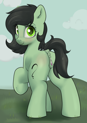 Size: 2141x3000 | Tagged: explicit, artist:dumbwoofer, oc, oc:filly anon, anatomically correct, anus, blushing, clitoris, dock, earth pony, female, filly, foal, foalcon, grass, grass field, imported from derpibooru, looking at you, looking back, looking back at you, nudity, oc only, pony, presenting, raised hoof, smiling, smiling at you, tail, underhoof, vulva, vulvar winking