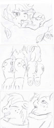 Size: 850x2000 | Tagged: explicit, artist:orchua, apple bloom, applejack, anatomically correct, anus, apple sisters, applebutt, applecest, big macintosh, bloom butt, both cutie marks, brother and sister, butt, comic, earth pony, female, foalcon, g4, grayscale, horsecock, imminent orgasm, imported from derpibooru, incest, licking, licking cock, male, monochrome, nudity, open mouth, oral, pencil drawing, penis, plot, ponut, pony, sex, ship:applemac, ship:macbloom, shipping, siblings, sisters, straight, thermometer, tongue out, traditional art, trio, vulva