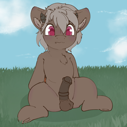 Size: 2500x2500 | Tagged: explicit, artist:ashersketch, oc, oc:asher streak, balls, colt, erection, foal, foalcon, frog (hoof), horsecock, hybrid, hybrid oc, imported from derpibooru, male, nudity, oc only, penis, pony, presenting, red eyes, red iris, solo, solo male, spread legs, spreading, underhoof