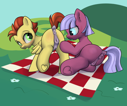 Size: 4000x3336 | Tagged: explicit, artist:dumbwoofer, anatomically correct, anus, blank flank, blushing, butt, clitoris, crotchboobs, delicious flat crotch, dock, duo, ear fluff, earth pony, female, filly, filly on filly, foal, foalcon, friendship student, g4, gooseberry, hoof heart, hyper sonic, imported from derpibooru, lemon crumble, lesbian, looking back, nipples, nudity, open mouth, outdoors, pegasus, picnic, picnic blanket, pink genitals, plot, pony, spreading, surprised, tail, teats, underhoof, vulva