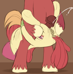 Size: 1461x1488 | Tagged: explicit, artist:dtcx97, apple bloom, age difference, anatomically correct, anus, applecest, big macintosh, bipedal, bow, brother and sister, butt, cum, cumming, dock, duo, duo male and female, earth pony, eyes closed, female, filly, flared, foal, foalcon, g4, grinding, hair bow, holding a pony, hooves, horsecock, implied analingus, implied oral, implied sex, imported from derpibooru, incest, male, nudity, penis, plot, ponut, pony, sex, ship:macbloom, shipping, siblings, stallion, stallion on filly, standing sex, straight, tail, the cmc's cutie marks, vaginal secretions, vulva, wall of tags