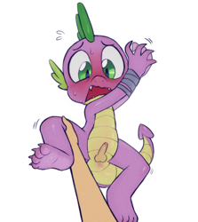 Size: 1336x1500 | Tagged: explicit, artist:wuggsy, spike, anus, blushing, blushing profusely, bondage, bound wrists, dragon, fangs, feet, foalcon, forced, g4, human, human on dragon, human penis, human penis on dragon, imported from derpibooru, leg grab, nudity, offscreen character, open mouth, penis, shiny skin, small penis, solo, sweat, twitching, underbelly, wingless spike, worried