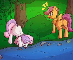 Size: 1218x998 | Tagged: explicit, artist:anonjg, scootaloo, sweetie belle, anus, butt, drink, drinking, female, fetish, filly, foal, foalcon, g4, heart, heart eyes, horses doing horse things, imported from derpibooru, lapping, nudity, pegasus, pissing, plot, pony, river, scootabutt, surprised, unicorn, urine, vulva, water, watersports, wingding eyes