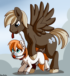 Size: 1968x2121 | Tagged: explicit, artist:anibaruthecat, oc, age difference, anal, ballgag, canon x oc, cloud, collar, colt, dubious consent, dumbbell, earth pony, erection, foal, foalcon, g4, gag, gay, high res, imported from derpibooru, large penetration, leash, male, old art, on a cloud, pegasus, penetration, penis, pony, precum, sex, stallion, stallion on colt, young