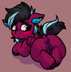 Size: 1440x1443 | Tagged: explicit, artist:gluttonace, oc, oc:razzmatazz gleam, alternate version, anus, blushing, butt, dock, female, foalcon, hybrid, imported from derpibooru, looking back, nudity, oc only, pegabat, pegasus, plot, ponut, pony, raised tail, simple background, solo, solo female, tail, vulva