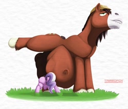 Size: 900x768 | Tagged: explicit, artist:tairedfox, diamond tiara, anus, big penis, bloomprey, butt, cock vore, comic, earth pony, female, fetish, filly, filly prey, foal, foalcon, g4, grass, head first, implied apple bloom, implied scootaloo, implied sweetie belle, imported from derpibooru, male, nudity, penis, plot, pony, preybloom, scootaprey, stallion, stallion pred, sweetieprey, trouble shoes, vore, vulva
