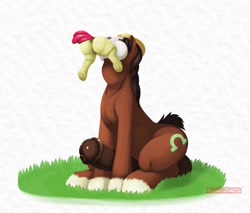 Size: 900x768 | Tagged: explicit, artist:tairedfox, apple bloom, anus, big penis, bloomprey, butt, comic, earth pony, female, filly, filly prey, foal, foalcon, g4, grass, head first, imported from derpibooru, male, nudity, penis, plot, pony, preybloom, sitting, stallion, stallion pred, trouble shoes, vore, vulva