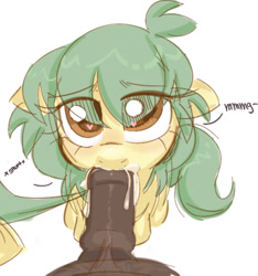 Size: 856x916 | Tagged: explicit, artist:mushy, oc, oc:pea, blowjob, blushing, cropped, cum, edit, female, filly, foal, foalcon, full cheeks, heart, heart eyes, horsecock, imported from derpibooru, just the tip, leaking cum, looking at you, looking up, medial ring, nudity, oral, penis, pony, sex, simple background, white background, wingding eyes