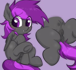 Size: 2457x2266 | Tagged: explicit, artist:mushy, oc, oc:scar, anatomically correct, anus, bat pony, blushing, butt, crotchboobs, cute, ear piercing, earring, embarrassed, female, filly, foal, foalcon, high res, hooves, imported from derpibooru, jewelry, nervous, nipples, nudity, oc only, piercing, plot, ponut, pony, shy, solo, solo female, teats, vulva