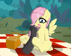 Size: 9670x7650 | Tagged: explicit, artist:darkstorm mlp, fluttershy, disembodied penis, female, fetish, filly, foal, foalcon, forest background, frog (hoof), g4, hind hoofjob, hoof fetish, hoofjob, imported from derpibooru, male, mare, nudity, open mouth, outdoors, pegasus, penis, picnic blanket, pony, sitting, spread wings, stallion, straight, underhoof, wings, younger