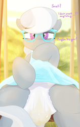 Size: 1368x2160 | Tagged: questionable, artist:not_texmex, silver spoon, alternate version, blue dress, clothes, derpibooru exclusive, diaper, diaper fetish, diaper spoon, dress, dress lift, earth pony, female, fetish, filly, flashing, foal, foalcon, g4, glasses, imported from derpibooru, looking at you, messy diaper, non-baby in diaper, outdoors, pony, poopy diaper, sitting, skirt, smiling, solo, solo female, swing, swing set, upskirt, wet diaper, white diaper