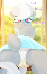 Size: 1368x2160 | Tagged: grotesque, questionable, artist:not_texmex, silver spoon, alternate version, blue dress, cameltoe, clothes, derpibooru exclusive, dock, dress, dress lift, earth pony, female, fetish, filly, flashing, foal, foalcon, frilly underwear, g4, glasses, imported from derpibooru, looking at you, messing, outdoors, panties, pantypoop, pony, poop, scat, sitting, skirt, smiling, solo, solo female, swing, swing set, tail, underwear, upskirt, white panties