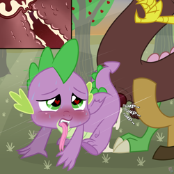 Size: 3000x3000 | Tagged: explicit, artist:ponykittenboi, spike, age difference, and then spike was gay, apple, apple tree, baby dragon on draconequus, balls, blushing, creampie, cum, cum in uterus, cuntboy, cuntboy spike, derpibooru exclusive, discord, draconequus, draconequus on dragon action, dragon, duo, duo male, excessive cum, foalcon, folded wings, g4, heart, heart eyes, high res, imported from derpibooru, internal, internal cumshot, intersex, interspecies, knot, knotted penis, light rays, long tongue, male, male on cuntboy, nudity, penetration, penis, sex, ship:dispike, shipping, show accurate, show accurate porn, sweat, text, tongue out, tree, uterus, vaginal, wingding eyes, winged spike, wings, x-ray
