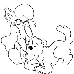 Size: 4000x4000 | Tagged: explicit, apple bloom, artist needed, bestiality, butt, dog, dog on filly action, earth pony, female, filly, foal, foalcon, g4, imported from derpibooru, interspecies, oral, plot, pony, sex, simple background, source needed, white background