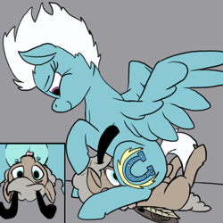 Size: 600x600 | Tagged: questionable, artist:thebathwaterhero, oc, oc:dusty miller, age difference, colt, crotchboobs, cyoa:landfall, duo, female, fleetfoot, foal, foalcon, g4, imported from derpibooru, male, mare, mare on colt, moth, mothpony, nudity, original species, pegasus, pony, straight, straight shota, teats