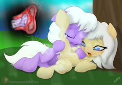 Size: 1200x840 | Tagged: explicit, artist:miniferu, oc, oc:hallowed dream, abdominal bulge, blind, cervical contact, cervix, colt, colt on filly, creampie, crotchboobs, cum, cum in uterus, duo, female, filly, foal, foalcon, horsecock, imported from derpibooru, indoors, internal cumshot, male, nipples, nudity, oc name needed, oc only, penetration, penis, pony, sex, straight, uterus, vagina, vaginal, vaginal creampie, vulva, x-ray