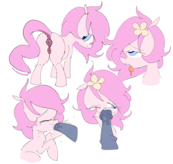 Size: 3618x3430 | Tagged: explicit, artist:php197, oc, oc:kayla, anatomically correct, anus, blowjob, butt, earth pony, female, female focus, filly, flower, flower in hair, foal, foalcon, high res, imported from derpibooru, nudity, oc only, oral, penis, plot, ponut, pony, presenting, sex, solo focus, tongue out, vulva