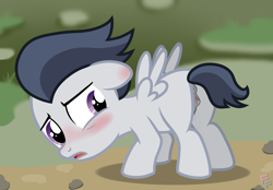 Size: 2564x1784 | Tagged: explicit, artist:ponykittenboi, anus, blushing, butt, clitoris, colt, cuntboy, derpibooru exclusive, ear blush, floppy ears, foal, foalcon, g4, imported from derpibooru, intersex, looking at you, looking back, looking back at you, male, nudity, open mouth, pegasus, plot, pony, rule 63, rumble, show accurate, show accurate porn, solo, spread wings, uncomfortable, vaginal secretions, vulva, vulvar winking, wingboner, wings