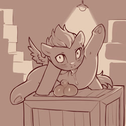 Size: 1200x1200 | Tagged: explicit, artist:cold-blooded-twilight, balls, behaving like a cat, blushing, butt, caught, colt, crate, drool, foal, foalcon, g4, grooming, imported from derpibooru, licking, licking thigh, looking at you, male, monochrome, nudity, pegasus, plot, pony, raised leg, rumble, sheath, sketch, solo, solo male, spread legs, spread wings, spreading, tail, tongue out, underhoof, wings