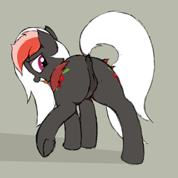 Size: 1998x1998 | Tagged: explicit, artist:filly fantastique, oc, oc:amaryllis, anus, bat pony, biting, butt, dock, female, filly, foal, foalcon, imported from derpibooru, looking back, nudity, oc only, plot, pony, presenting, raised hoof, raised tail, requested art, simple background, tail, tongue bite, vulva