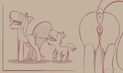 Size: 1100x655 | Tagged: explicit, artist:shepardinthesky, anatomically correct, anus, bow, butt, clitoris, colt, dock, drool, female, flitter, foal, foalcon, g4, hair bow, heart clitoris, imported from derpibooru, male, mare, monochrome, nudity, penis, plot, ponut, pony, raised tail, rumble, ship:flitterumble, shipping, sketch, straight, straight shota, tail, tongue out, vaginal secretions, voyeurism, vulva, vulvar winking