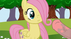 Size: 1280x720 | Tagged: explicit, artist:zed001, fluttershy, age difference, animated, cropped, cum, cumming, cumsplosion, cute, cute porn, edit, endless orgasm, excessive cum, eyes on the prize, facial, female, filly, foal, foalcon, g4, hair over one eye, happy, hnnng, imported from derpibooru, licking, licking lips, male, meme, nudity, orgasm, outdoors, pegasus, penis, pony, premature ejaculation, pulsating, raised hoof, show accurate, show accurate porn, shyabetes, smiling, sound, spontaneous orgasm, spread wings, stallion, stallion on filly, straight, surprise facial, surprised, throbbing, tongue out, webm, wingboner, wings, younger