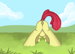 Size: 1693x1234 | Tagged: explicit, artist:cutelewds, apple bloom, anatomically correct, anus, butt, crotchboobs, earth pony, female, filly, foal, foalcon, g4, imported from derpibooru, nipples, nudity, plot, pony, solo, solo female, vulva