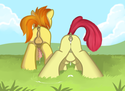 Size: 1693x1234 | Tagged: explicit, artist:cutelewds, apple bloom, aftersex, anus, applecest, balls, bloom butt, braeburn, braebutt, butt, cousin incest, cousins, creampie, crotchboobs, cum, earth pony, female, filly, foal, foalcon, g4, glazed dick, imported from derpibooru, incest, male, nipples, nudity, penis, plot, pony, stallion, vaginal creampie, vulva