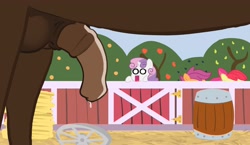 Size: 3440x2000 | Tagged: explicit, artist:last, apple bloom, scootaloo, sweetie belle, balls, blank eyes, cutie mark crusaders, dripping, dripping precum, earth pony, eyes on the prize, female, filly, foal, foalcon, g4, high res, horsecock, imported from derpibooru, jaw drop, male, nudity, pegasus, penis, pony, precum, reacting to nudity, sheath, stallion, unicorn, wide eyes