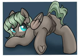 Size: 2600x1869 | Tagged: explicit, artist:dumbwoofer, oc, oc:forest air, anatomically correct, anus, blank flank, butt, crotchboobs, dark genitals, dock, ear fluff, female, filly, foal, foalcon, imported from derpibooru, looking at you, looking back, looking back at you, nipples, nudity, oc only, pegasus, plot, pony, presenting, raised tail, simple background, smiling, solo, solo female, tail, teats, underhoof, vagina, vulva