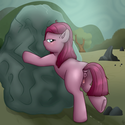 Size: 3000x3000 | Tagged: explicit, artist:ponykittenboi, pinkie pie, anus, blushing, boulder, clitoris, derpibooru exclusive, dock, dripping, ear blush, earth pony, estrus, female, filly, filly pinkie pie, foal, foalcon, frustrated, g4, high res, imported from derpibooru, lidded eyes, looking back, nudity, pinkamena diane pie, ponut, pony, raised leg, rear view, rock, rock farm, signature, solo, solo female, tail, underhoof, vaginal secretions, vulva, vulvar winking, younger