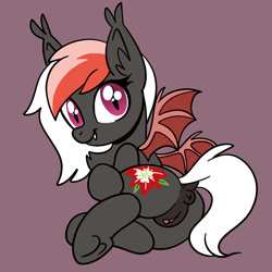 Size: 2000x2000 | Tagged: explicit, artist:vodkamewtwoni, oc, oc:amaryllis, anus, bat pony, bat pony oc, butt, clitoris, commission, dark genitals, derpibooru exclusive, dock, female, filly, foal, foalcon, frog (hoof), genitals, high res, imported from derpibooru, looking at you, looking back, looking back at you, nudity, oc only, plot, ponut, pony, simple background, solo, solo female, spread wings, tail, underhoof, vulva, wings