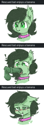 Size: 353x1012 | Tagged: explicit, artist:plunger, oc, oc:bats, oc:filly anon, aftersex, balls, bat, bat ponified, bat pony, bat pony oc, blowjob, blushing, collar, comic, cum, cum in mouth, disembodied penis, ear fluff, eyebrows, female, female on male, filly, floppy ears, foal, foalcon, genitals, heart eyes, horsecock, implied banana, imported from derpibooru, looking at something, male, mare, mare on stallion, nudity, oc only, oral, penis, pony, race swap, sex, simple background, stallion, straight, surprised, text, tongue out, white background, wingding eyes, wings