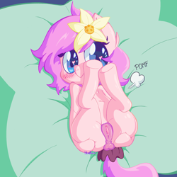 Size: 2000x2000 | Tagged: explicit, artist:headhazed, oc, oc:kayla, anus, blank flank, blushing, butt, earth pony, female, filly, flower, flower in hair, foal, foalcon, heart eyes, high res, imported from derpibooru, looking at you, nudity, oc only, onomatopoeia, plot, pomf, ponut, pony, smiling, smiling at you, vagina, wingding eyes